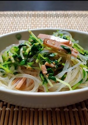 豆苗の春雨サラダ-レシピのメイン写真