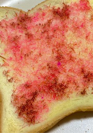 くさみなし！桜でんぶパン-レシピのメイン写真