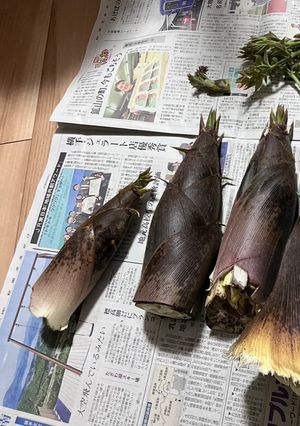 孟宗筍のあく抜き-レシピのメイン写真