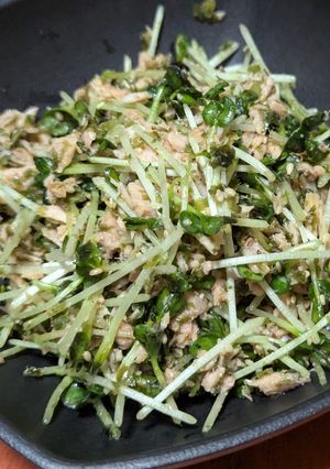 【簡単常備菜】ツナとカイワレのツマミ菜-レシピのメイン写真