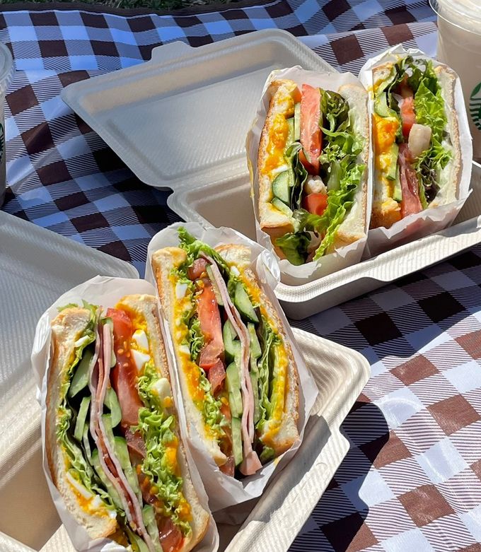 ピクニックサンドイッチ🥪-レシピのメイン写真