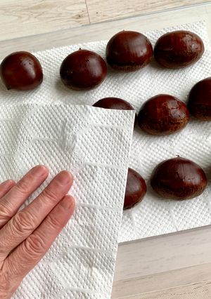 練馬江戸栗の基本『鬼皮付き栗の保存方法』-レシピのメイン写真