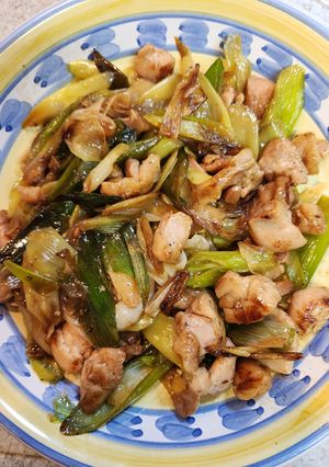 鶏肉と長ねぎの炒め物-レシピのメイン写真