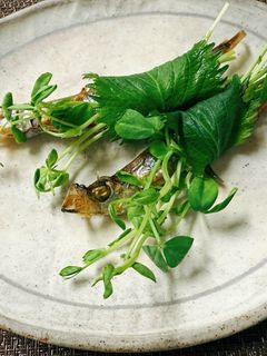 ししゃもの花束💐⁉️🤣-レシピのメイン写真