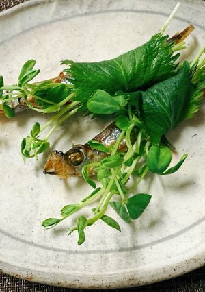 ししゃもの花束💐⁉️🤣-レシピのメイン写真