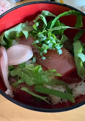 手ごね寿司-レシピのメイン写真