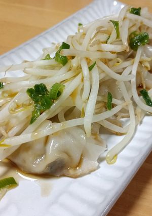 餃子の青じそドレッシングがけ-レシピのメイン写真