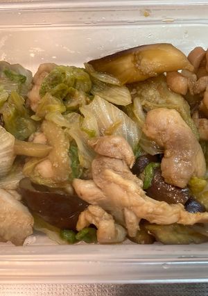 【糖尿病弁当】レタナス鳥もも炒め-レシピのメイン写真