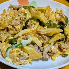 รูปของ 豚玉キャベツのカレー味炒め
