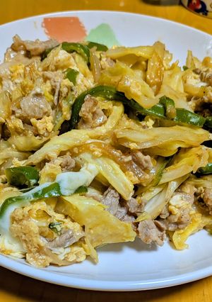 豚玉キャベツのカレー味炒め-レシピのメイン写真