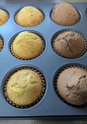 プレーンとココアのカップケーキ-レシピのメイン写真