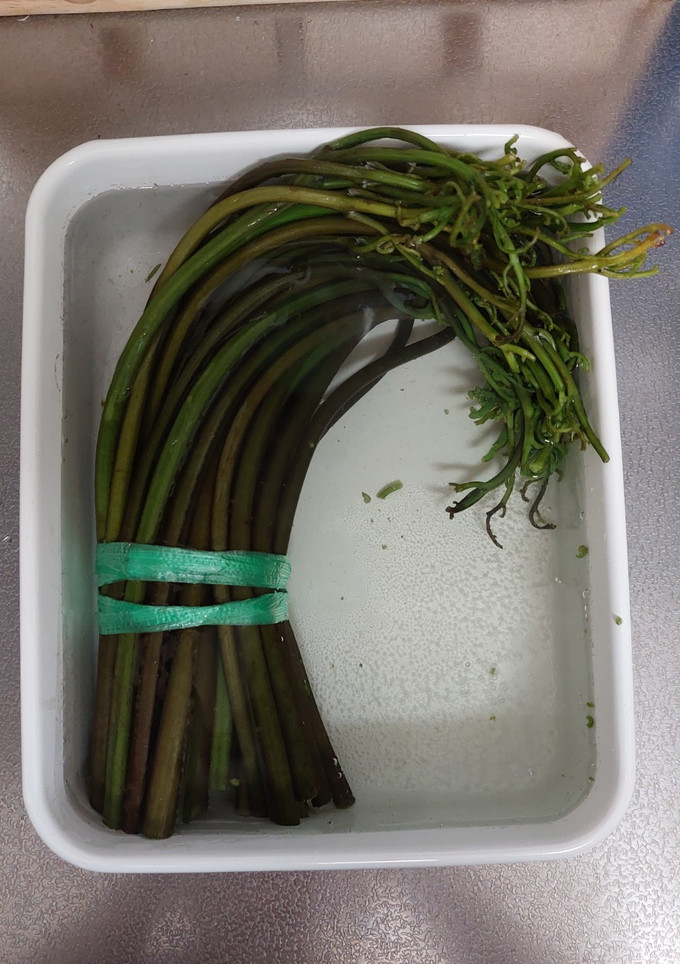 わらびのあく抜き(重曹使用)-レシピのメイン写真