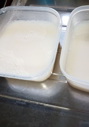 【子供の便秘に】1Lカルピス粉寒天ゼリー-レシピのメイン写真