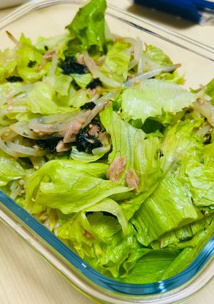 レタスともやしのツナサラダ-レシピのメイン写真