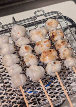 イカのトンビの一夜干し-レシピのメイン写真