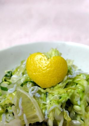 夏はさっぱり！シャキシャキ薬膳サラダ-レシピのメイン写真
