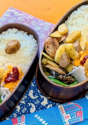 お弁当2025年7月23日-レシピのメイン写真
