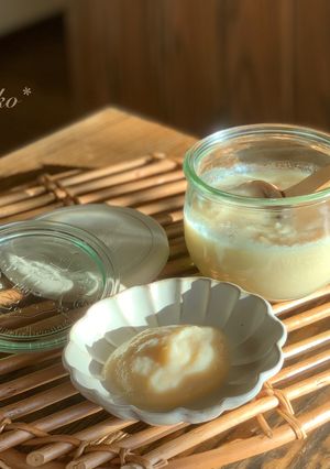 ホームベーカリーで作る玉ねぎ麹-レシピのメイン写真