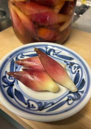 茗荷の甘酢漬け-レシピのメイン写真