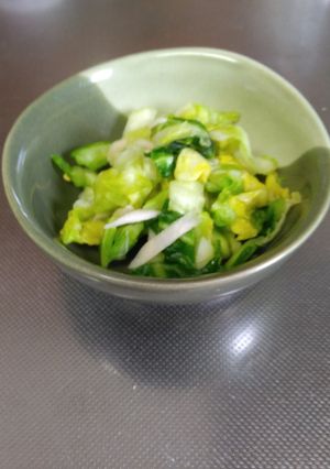 キャベツと新生姜の浅漬け-レシピのメイン写真