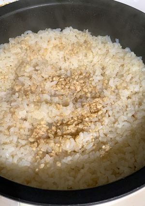 発芽玄米酒粕入りご飯-レシピのメイン写真