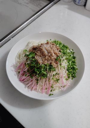 冷やして美味しい！豆乳肉みそそうめん-レシピのメイン写真