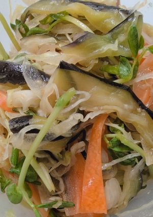 生ナスの中華風サラダ-レシピのメイン写真