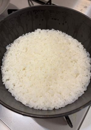 ストウブ鍋（ワナベ）でごはん！-レシピのメイン写真