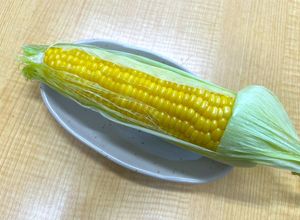 ラップ不要レンチンだけ！蒸しトウモロコシ-レシピのメイン写真