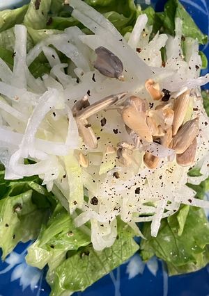 レタスと大根のサラダ-レシピのメイン写真