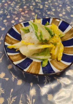 白菜の白だしナムル-レシピのメイン写真