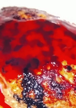 好きな生鮮肉でハンバーグ-レシピのメイン写真