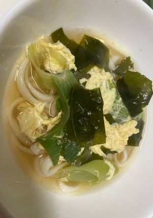 溶き卵とワカメと長ネギ簡単うどん-レシピのメイン写真