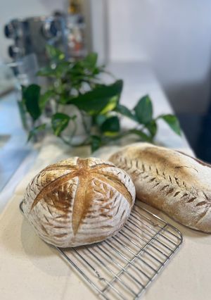 にきまるカンパーニュ-レシピのメイン写真