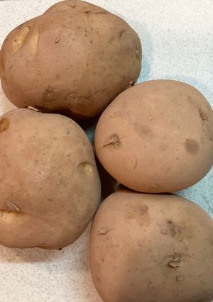 【糖尿病保存】ジャガイモの冷凍保存-レシピのメイン写真