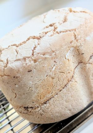 HBで簡単！4毒抜き米粉(酵素玄米)パン-レシピのメイン写真