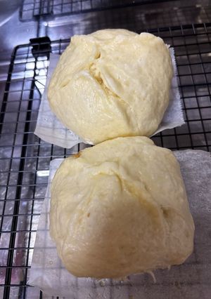 フライパンでお手軽チーズ肉まん-レシピのメイン写真