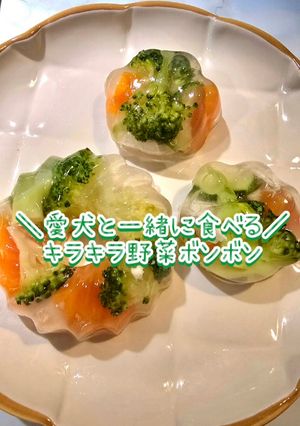 【犬用】キラキラ野菜ボンボン-レシピのメイン写真