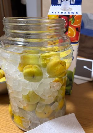 梅酒-レシピのメイン写真