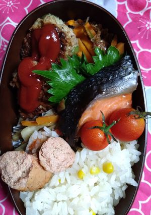 本日のお弁当♪8/23-レシピのメイン写真