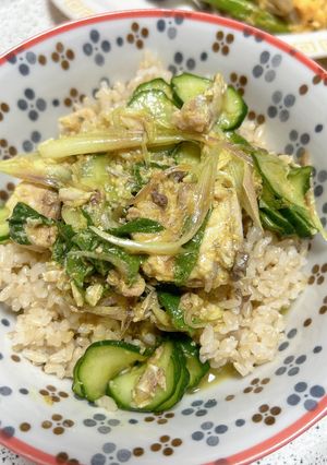 火を使わない★サバ缶カレー冷や汁-レシピのメイン写真