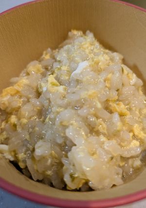 お茶漬けのもとで雑炊-レシピのメイン写真