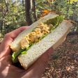 ▲山ごはん▲サラダチキンサンド