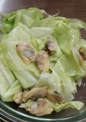キャベツとアサリのレンジ蒸し-レシピのメイン写真