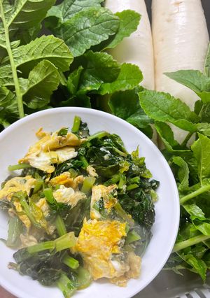 癖になるシンプル大根菜炒め！！-レシピのメイン写真