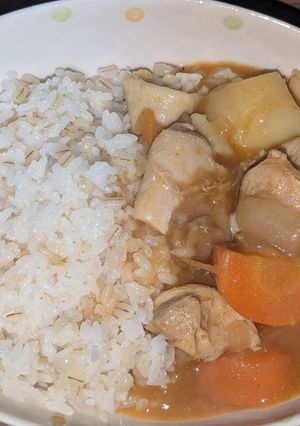 明治大正風チキンカレー-レシピのメイン写真