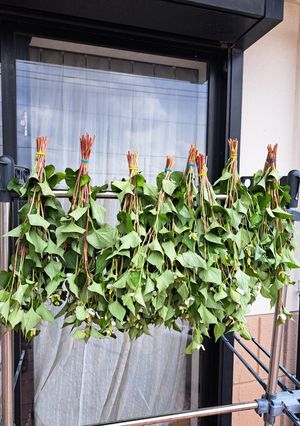 ドグタミ茶つくり始めました。-レシピのメイン写真