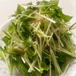 いろんな料理のトッピングに!水菜サラダ
