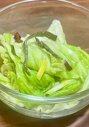 無添加 簡単 塩麹で発酵 浅漬けの素-レシピのメイン写真