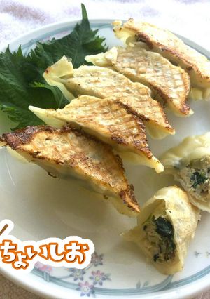 <ちょいしお>女池菜のヘルシーギョーザ-レシピのメイン写真